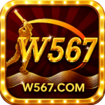 Featured image for the W567 guide