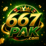 Featured image for the 667PAK guide