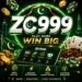 Featured image for the ZC999 Game guide